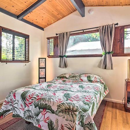 Cozy Volcano Studio With Phenomenal Rainforest Views Mountain View Exteriör bild