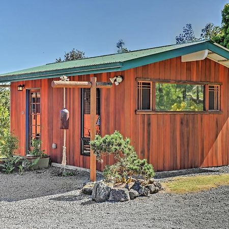 Cozy Volcano Studio With Phenomenal Rainforest Views Mountain View Exteriör bild