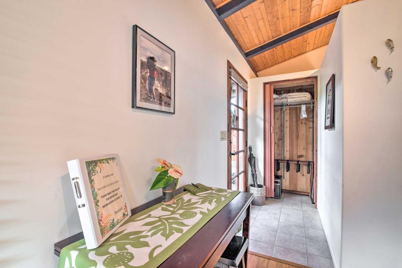 Cozy Volcano Studio With Phenomenal Rainforest Views Mountain View Exteriör bild